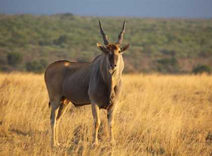 Waterberg Mountains